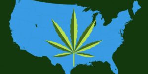 states with employee protection medical marijuana